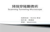 掃描穿隧顯微術 Scanning Tunneling Microscope