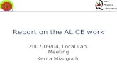 Report on the ALICE work