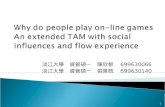 Why do people play on-line games An extended TAM with social influences and flow experience