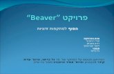 פרויקט  “Beaver”