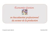 Économie-Gestion en baccalauréat professionnel  du secteur de la production