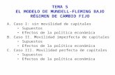 TEMA 5 EL MODELO DE MUNDELL-FLEMING BAJO RÉGIMEN DE CAMBIO FIJO