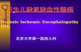 新生儿缺氧缺血性脑病 Hypoxic Ischemic Encephalopathy ， HIE 北京大学第一医院儿科