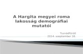 A  Hargita megyei roma lakoss ág demográfiai mutatói