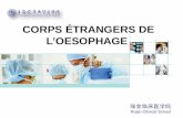 CORPS ÉTRANGERS DE L’OESOPHAGE