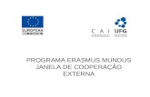 PROGRAMA ERASMUS MUNDUS JANELA DE COOPERAÇÃO EXTERNA