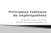 Principaux tableaux de néphropathies