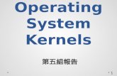 Modern Operating System  Kernels