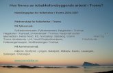 Hva finnes av tobakksforebyggende arbeid i Troms? Handlingsplan for folkehelse i Troms 2004-2007
