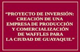 “PROYECTO DE INVERSIÓN:  CREACIÓN DE UNA  EMPRESA DE PRODUCCIÓN  Y COMERCIALIZACIÓN