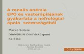 A renalis anémia       EPO és vasterápiájának gyakorlata a nefrológiai ápoló  szemszögéből