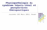 Physiopathologie du syndrome hépato-rénal et perspectives thérapeutiques