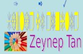 Zeynep Tan