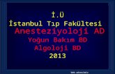 İ.Ü İstanbul Tıp Fakültesi  Anesteziyoloji AD Yoğun Bakım BD Algoloji BD 2013