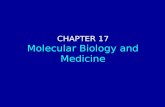 CHAPTER 17 Molecular Biology and Medicine