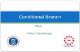 Conditional Branch