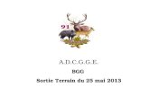 A.D.C.G.G.E. BGG  Sortie Terrain du 25 mai 2013