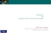 Rodrigo Torres Gerente de Desarrollo de Redes Telefónica CTC Chile