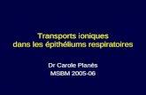 Transports ioniques dans les épithéliums respiratoires