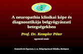 A  neuropathia klinikai képe és diagnosztikája belgyógyászati betegségekben