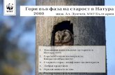 Гори във фаза на старост в Натура 2000 инж. Ал.  Дунчев ,  WWF  България