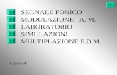 SEGNALE FONICO MODULAZIONE   A. M. LABORATORIO SIMULAZIONI MULTIPLAZIONE F.D.M.