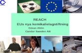 REACH EUs nya kemikalielagstiftning                Göran Ahlin            Candor Sweden AB