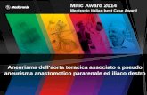Mitic Award 2014 M edtronic  It al i an best  C ase Award