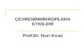 ÇEVRENİNMİKROPLARA ETKİLERİ Prof.Dr. Nuri Kiraz