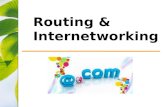 Routing  & Internetworking