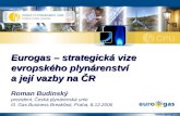 Roman Budinský prezident, Česká plynárenská unie III. Gas Business Breakfast, Praha, 8.12.2006