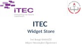 ITEC  Widget  Store