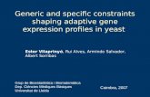 Generic and specific constraints shaping adaptive gene expression profiles in yeast
