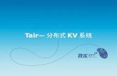 Tair— 分布式 KV 系统