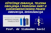 Prof. dr Slobodan Savić