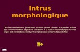 Intrus morphologique