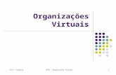 Organizações Virtuais
