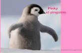 Pinky                           el  pingüino