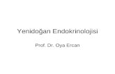 Yenidoğan Endokrinolojisi