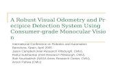 A Robust Visual Odometry and Precipice Detection System Using Consumer-grade Monocular Vision
