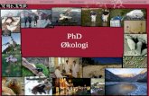 PhD Økologi