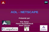 AOL - NETSCAPE