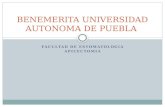 BENEMERITA UNIVERSIDAD AUTONOMA DE PUEBLA