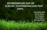 BIORREMEDIACION DE          SUELOS. CONTAMINACION POR HAP S .