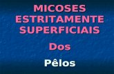 MICOSES ESTRITAMENTE SUPERFICIAIS Dos Pêlos