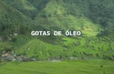 GOTAS DE ÓLEO