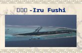 伊露岛 -Iru Fushi