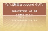 「 c( l ) 測定と beyond GUT 」 名古屋大学理学 研究科　大島　隆 義 at  大阪市大  2008.10.10.