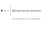 Blood-brain barrier