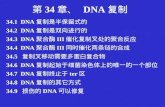 34.1 DNA 复制是半保留式的 34.2 DNA 复制是双向进行的 34.3 DNA 聚合酶 III 催化复制叉处的聚合反应 34.4 DNA 聚合酶 III 同时催化两条链的合成